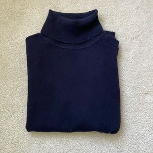 Everlane Cashmere Turtleneck